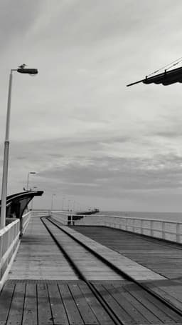 Swaniawski - Mann logo