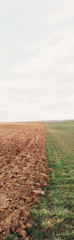 Schiller - Gislason logo