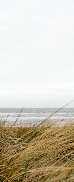 Aufderhar - Schmeler logo